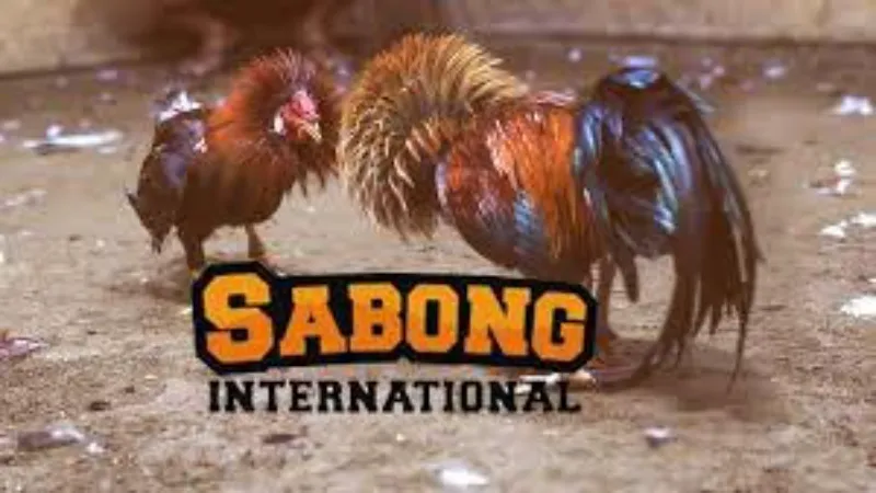 Advantages of Using Online Sabong International